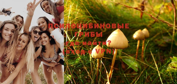 стафф Балашиха